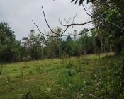 lote de terreno - Cachoeirinha - 