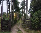 Sítio de 4 ha - Piabetá - 