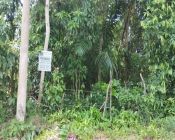 Lote de terreno, ACEITA CARTADE CRÉDITO!! - Vale das Pedrinhas - 