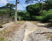 Área de terra - Santo Aleixo - 