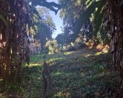 Lotes de terreno - Santo Aleixo - Casa de 3 quartos